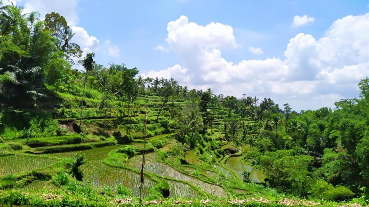 Mysha Guest House-Lombok Тетебату Екстериор снимка