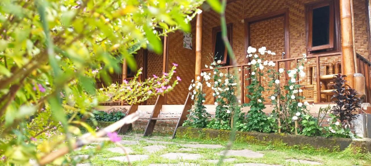 Mysha Guest House-Lombok Тетебату Екстериор снимка