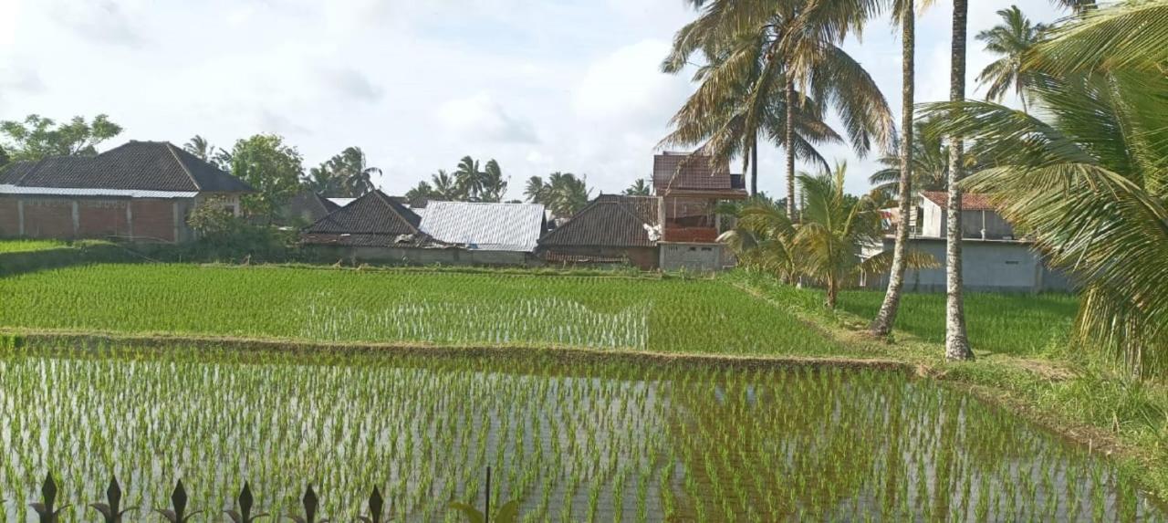 Mysha Guest House-Lombok Тетебату Екстериор снимка