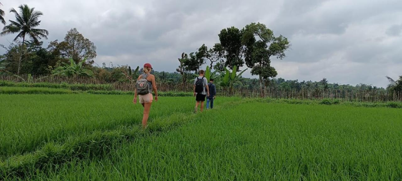 Mysha Guest House-Lombok Тетебату Екстериор снимка