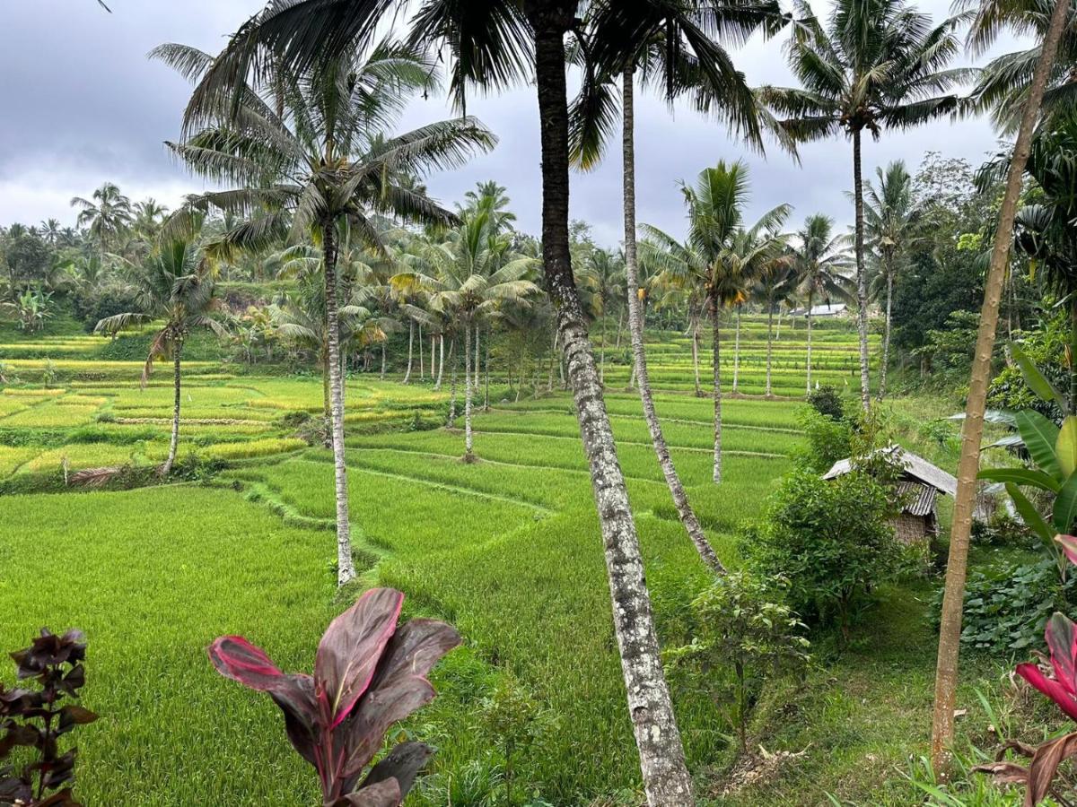 Mysha Guest House-Lombok Тетебату Екстериор снимка