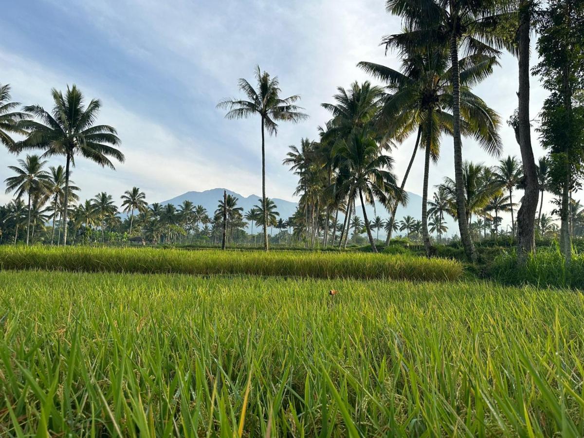 Mysha Guest House-Lombok Тетебату Екстериор снимка