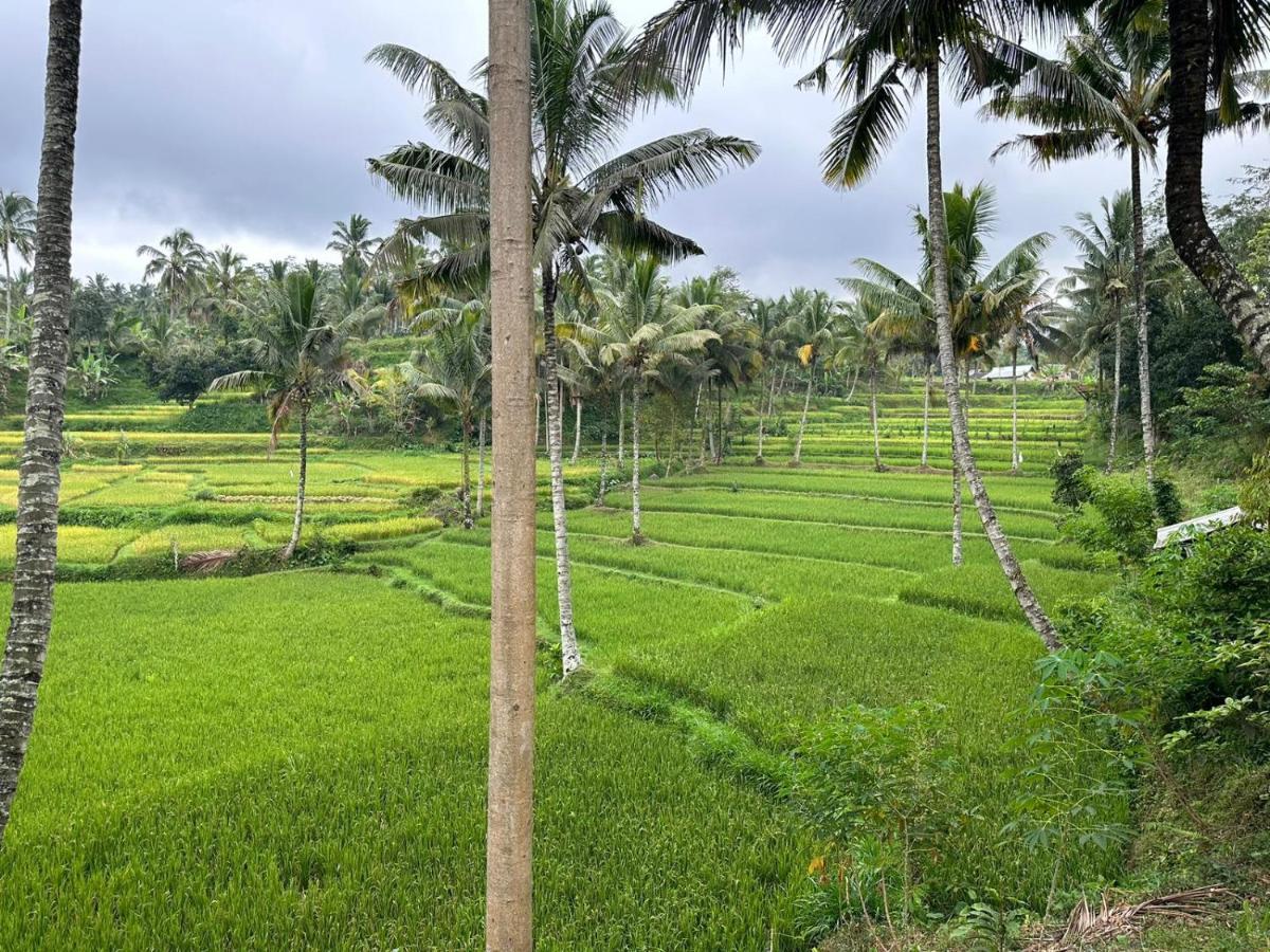 Mysha Guest House-Lombok Тетебату Екстериор снимка
